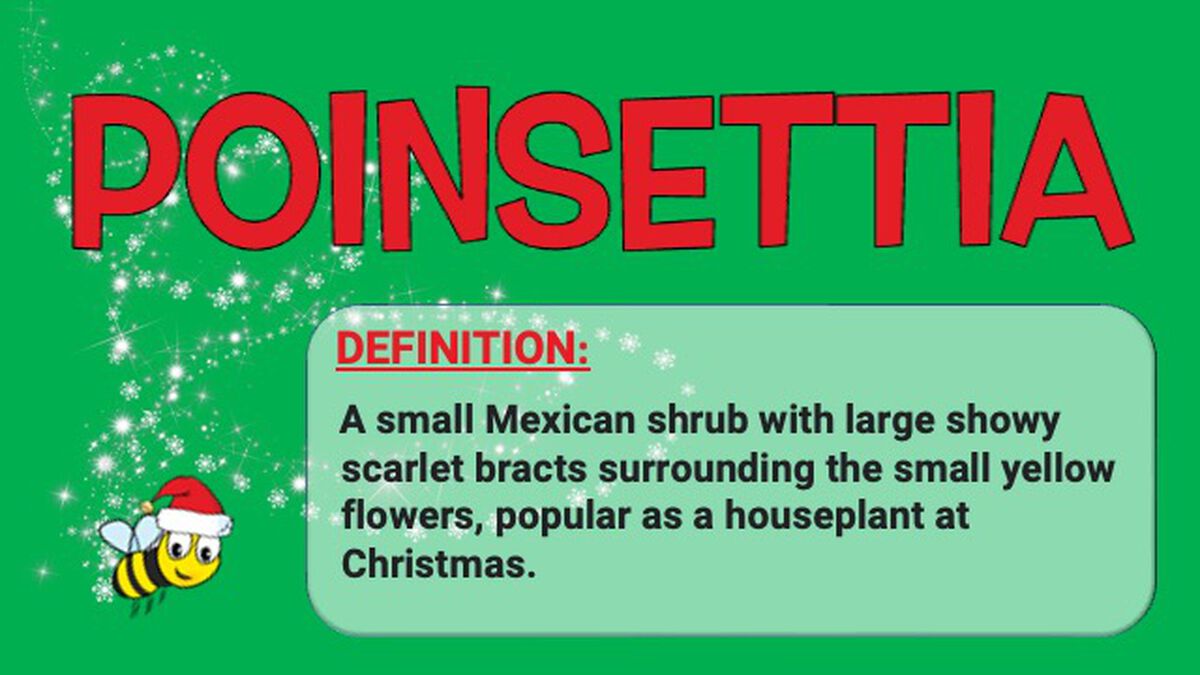 Christmas Spelling Bee image number null